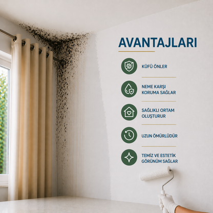 Nem & Rutubet Önleyici Duvar Boyası – Tek Uygulamada Küf ve Rutubete Karşı Koruma | Ny Trend