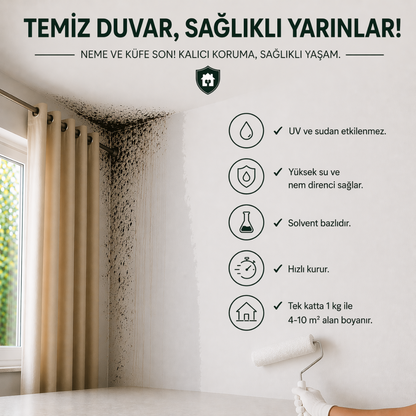 Nem & Rutubet Önleyici Duvar Boyası – Tek Uygulamada Küf ve Rutubete Karşı Koruma | Ny Trend
