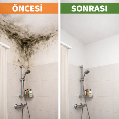 Nem & Rutubet Önleyici Duvar Boyası – Tek Uygulamada Küf ve Rutubete Karşı Koruma | Ny Trend