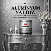 Uzun Ömürlü Yaldız Efektli Alüminyum Boya-Gümüş