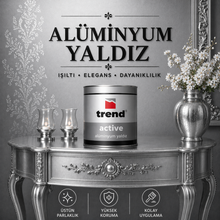 Uzun Ömürlü Yaldız Efektli Alüminyum Boya-Gümüş